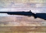 Savage Arms MODEL II Bolt Action .22  Rifles